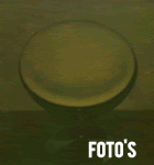 media_foto